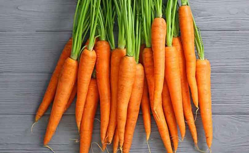 wortel bisa menyembuhkan mata minus