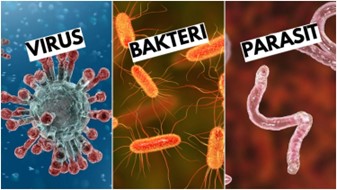 Mata Perih dan Berair: Virus, Bakteri, dan Jamur