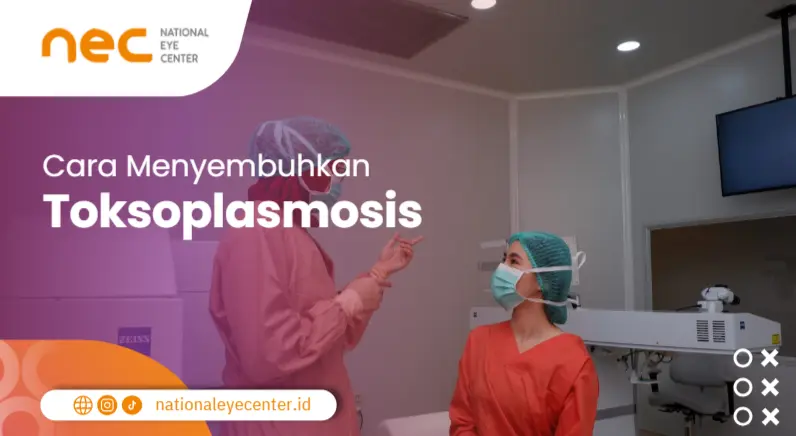 Cara Menyembuhkan Toksoplasmosis